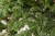 Искусственная ель «Нормандия» 200 см темно-зеленая, Triumph Tree