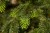 Искусственная елка Раскидистая 230см зеленая, Black Box 74270